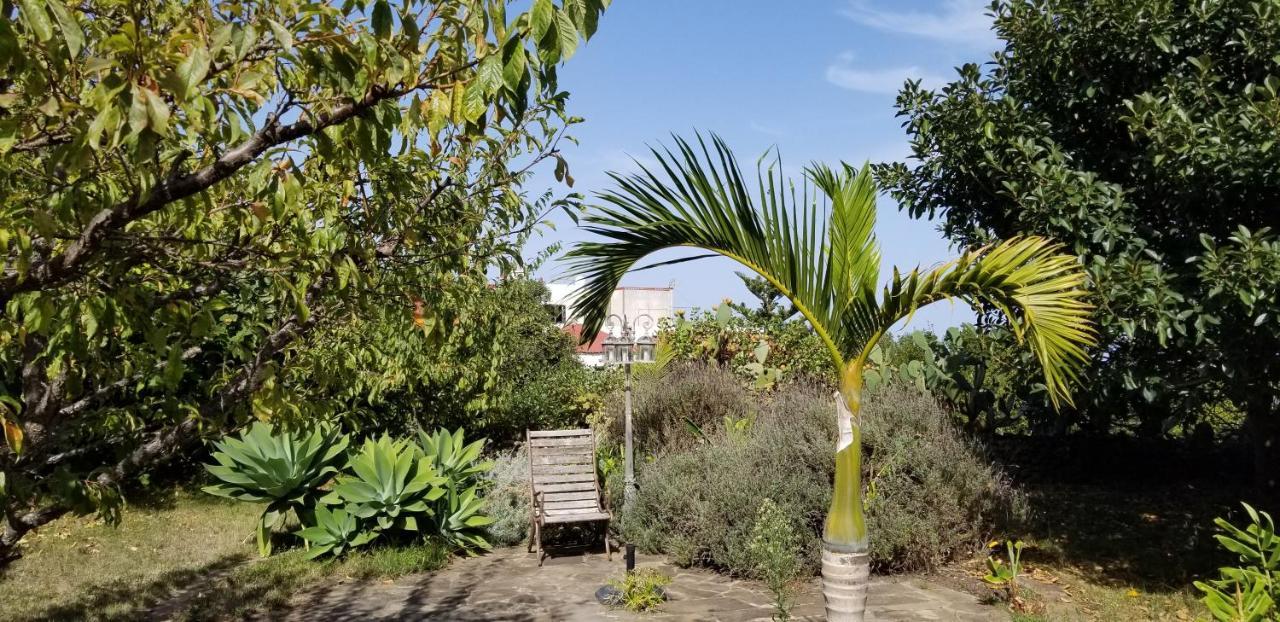 La Casita De La Vega Leilighet Icod De Los Vinos Eksteriør bilde