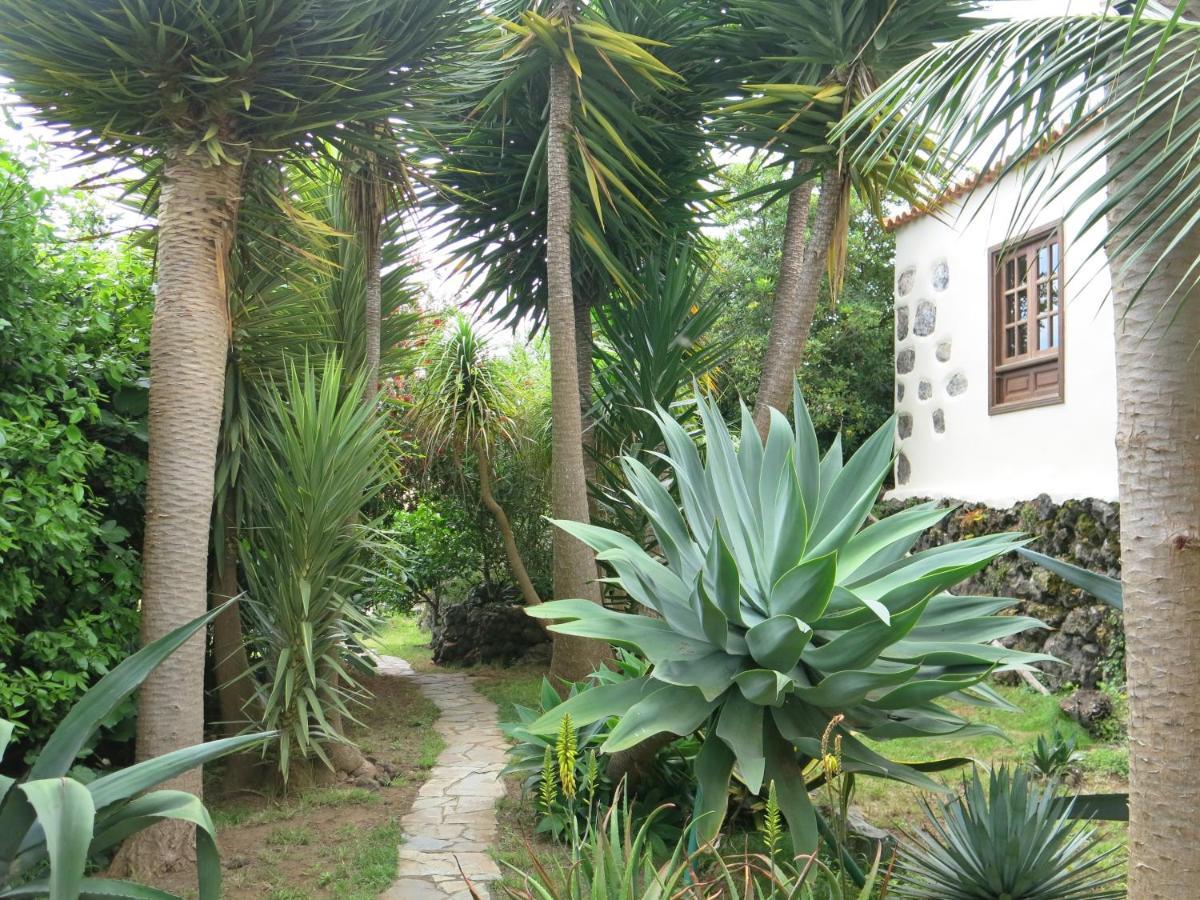 La Casita De La Vega Leilighet Icod De Los Vinos Eksteriør bilde