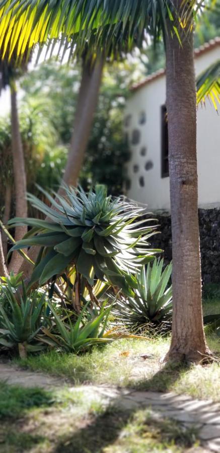 La Casita De La Vega Leilighet Icod De Los Vinos Eksteriør bilde