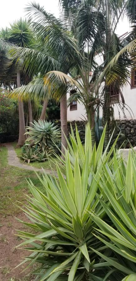 La Casita De La Vega Leilighet Icod De Los Vinos Eksteriør bilde