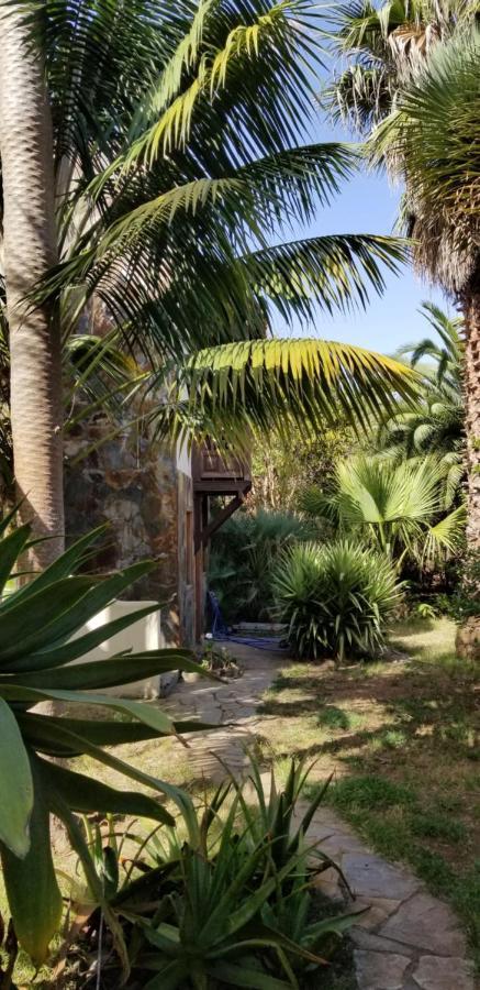 La Casita De La Vega Leilighet Icod De Los Vinos Eksteriør bilde