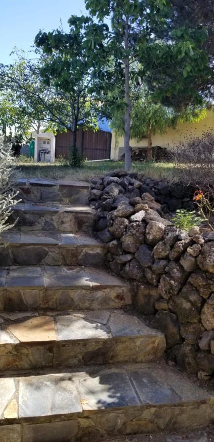 La Casita De La Vega Leilighet Icod De Los Vinos Eksteriør bilde