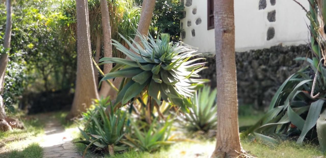 La Casita De La Vega Leilighet Icod De Los Vinos Eksteriør bilde