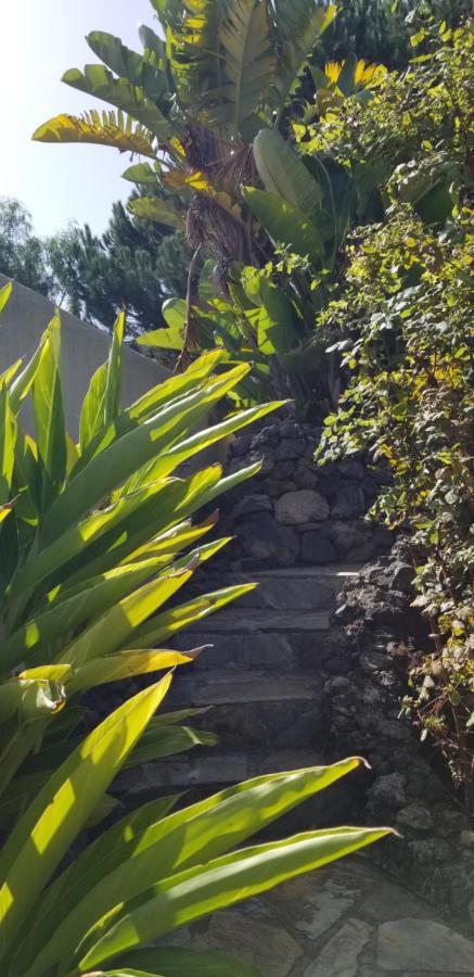 La Casita De La Vega Leilighet Icod De Los Vinos Eksteriør bilde