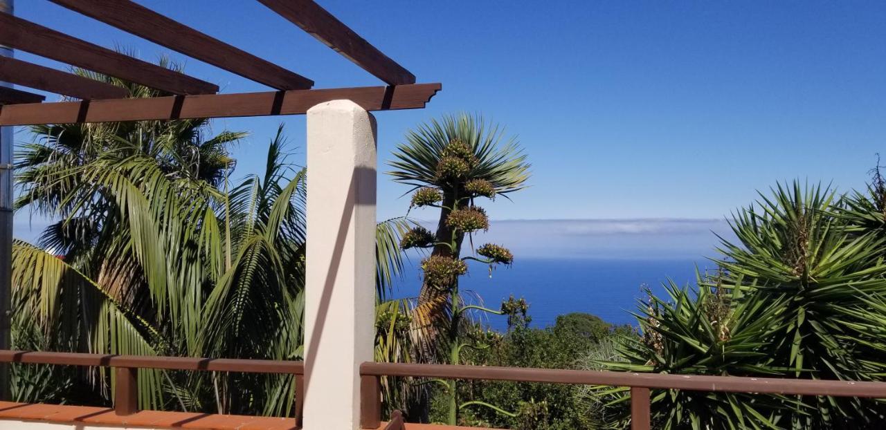 La Casita De La Vega Leilighet Icod De Los Vinos Eksteriør bilde