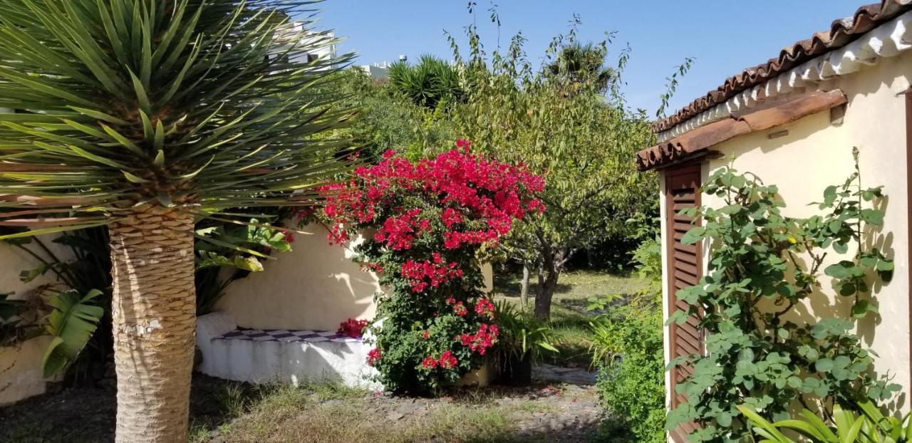 La Casita De La Vega Leilighet Icod De Los Vinos Eksteriør bilde
